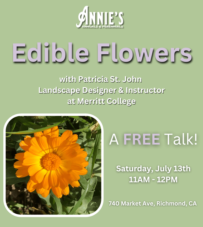 Annie's Annuals and Perennials Retail and Online Nursery, Buy Plants