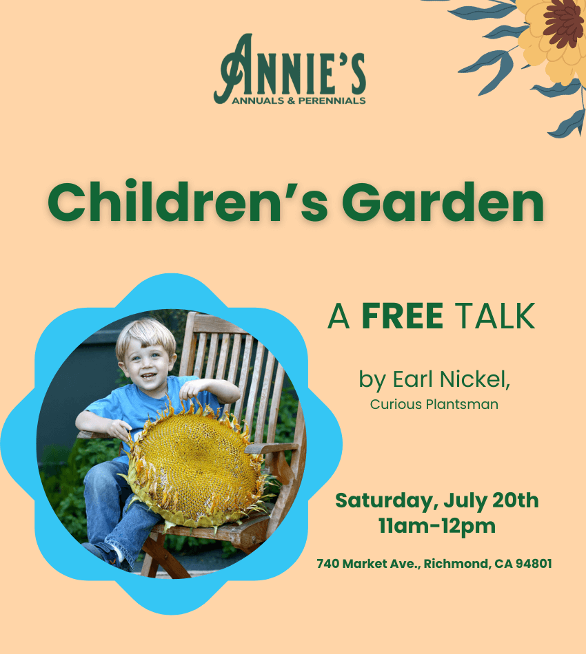 Annie's Annuals and Perennials Retail and Online Nursery, Buy Plants